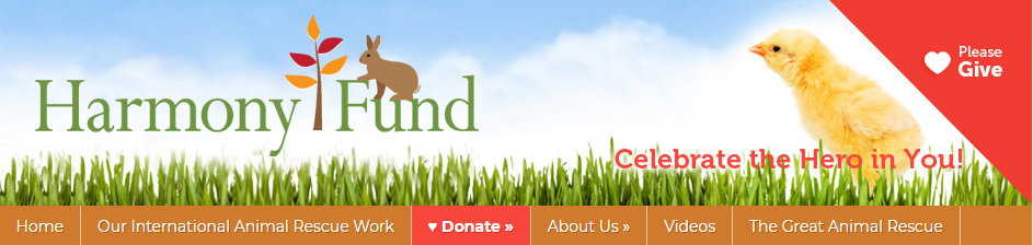 Huyan Dog Rescue Center Harmony Fund Header