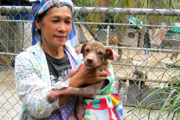 Stray dogs Thailand Warin holds dog